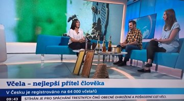Rozhovor na téma: včela, nejlepší přítel člověka